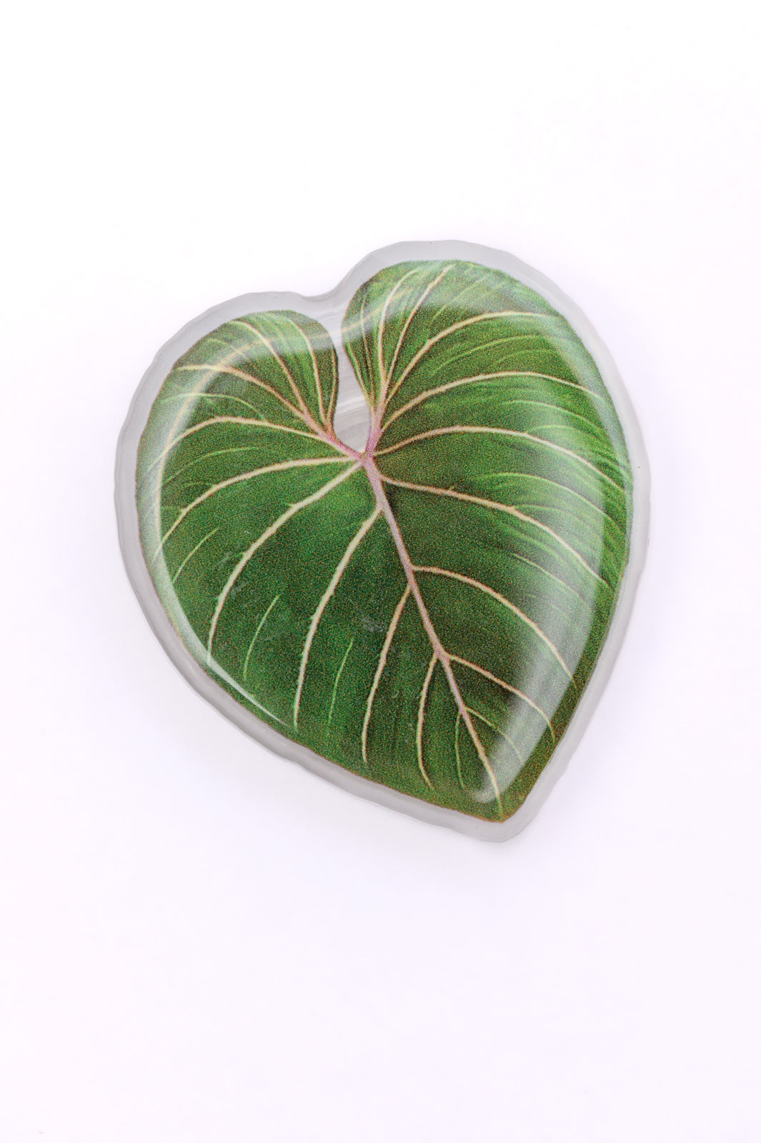 Plant Lover Phone Girp Tropical Leaf - Shop All Around Divas