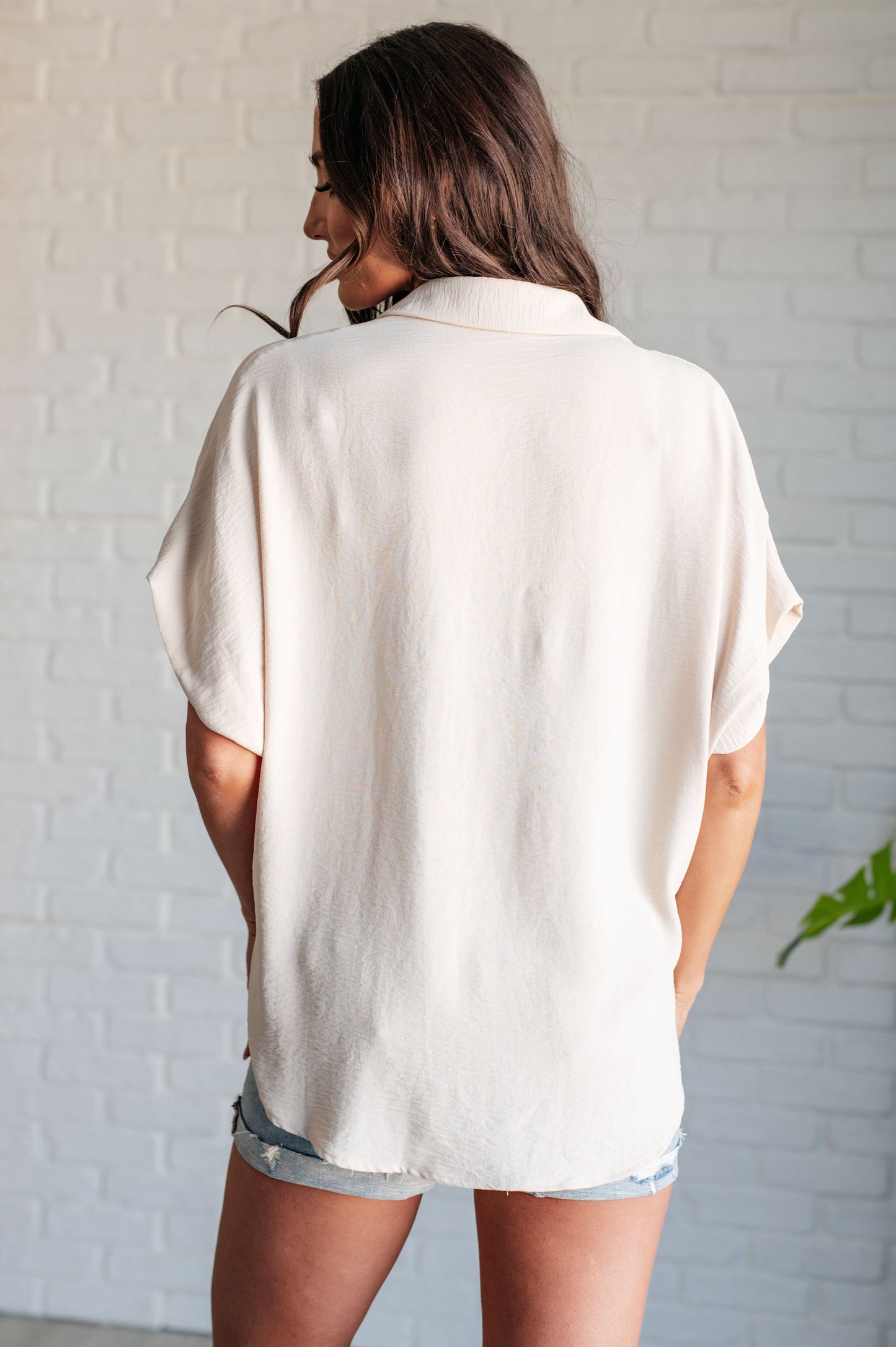 Sweet Simplicity Button Down Blouse in Oatmeal Ave Shops