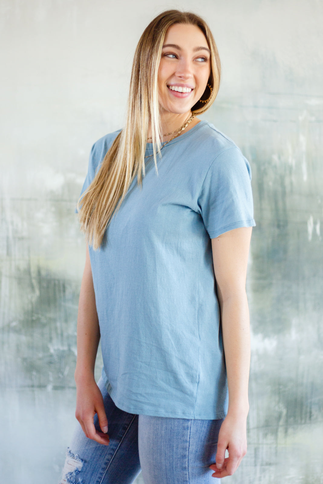 Cardinal Short Sleeve Tee in Blue Grey - Shop All Around Divas