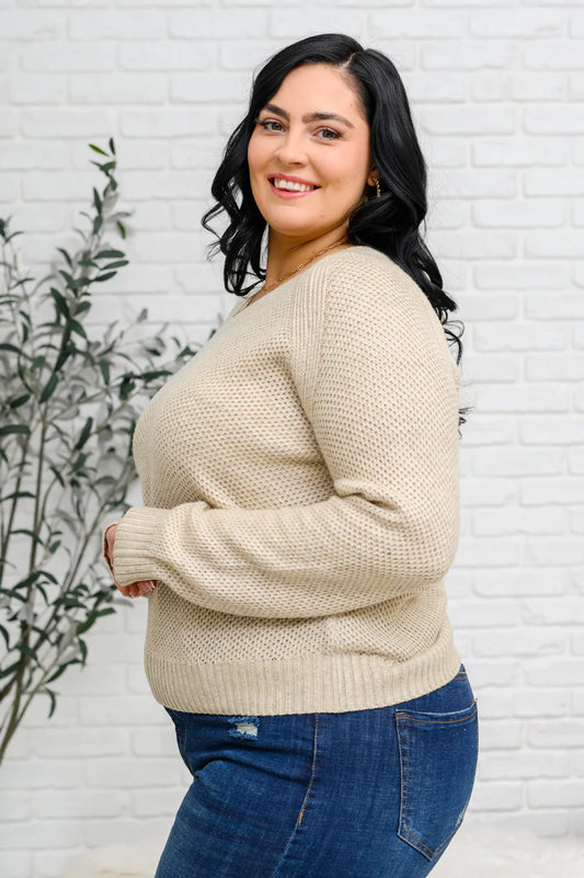 Chai Latte V-Neck Sweater in Oatmeal - Shop All Around Divas